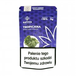 CBD Kwiat Konopi TROPICANA